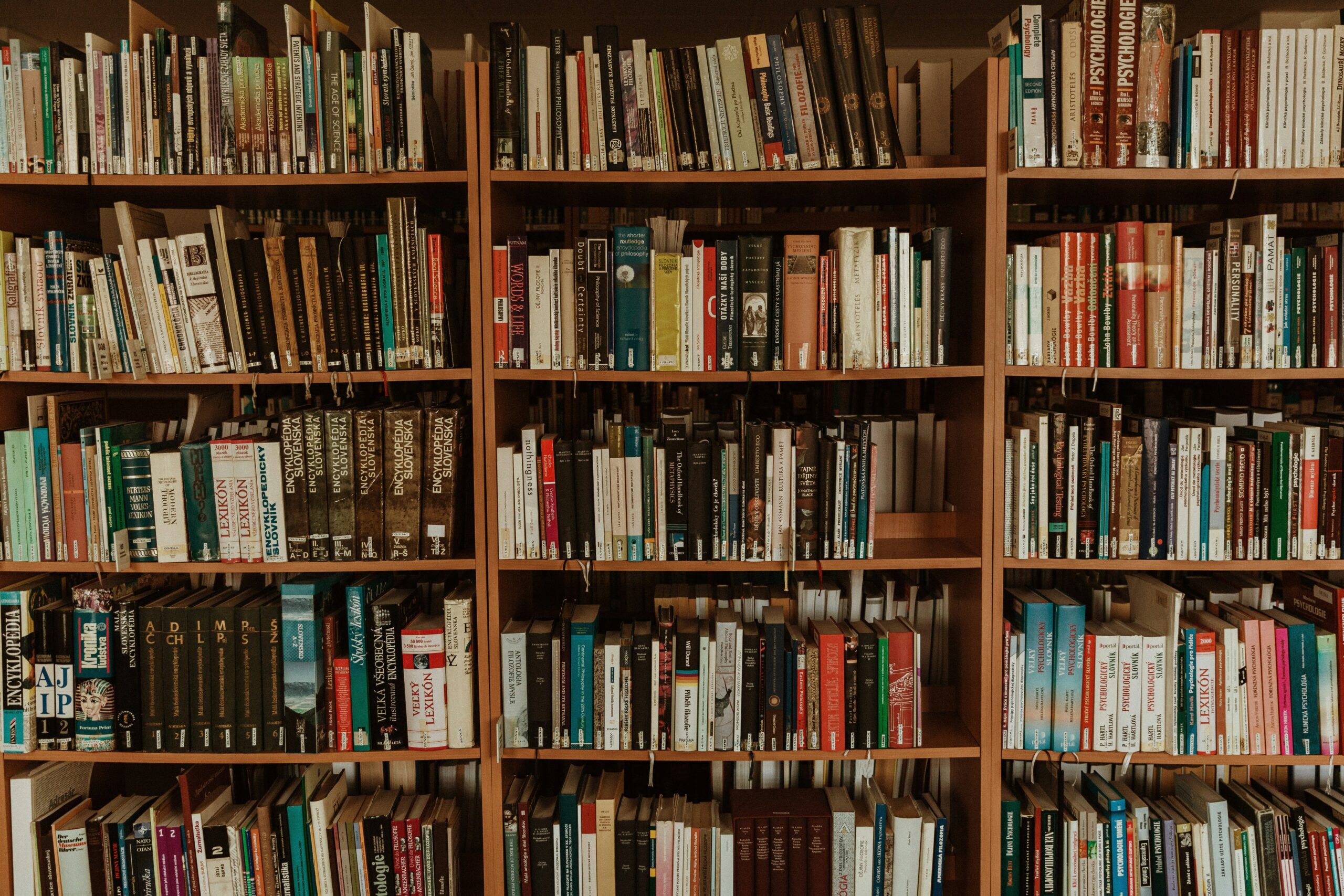 Blog trnava university beeyeib am8 unsplash